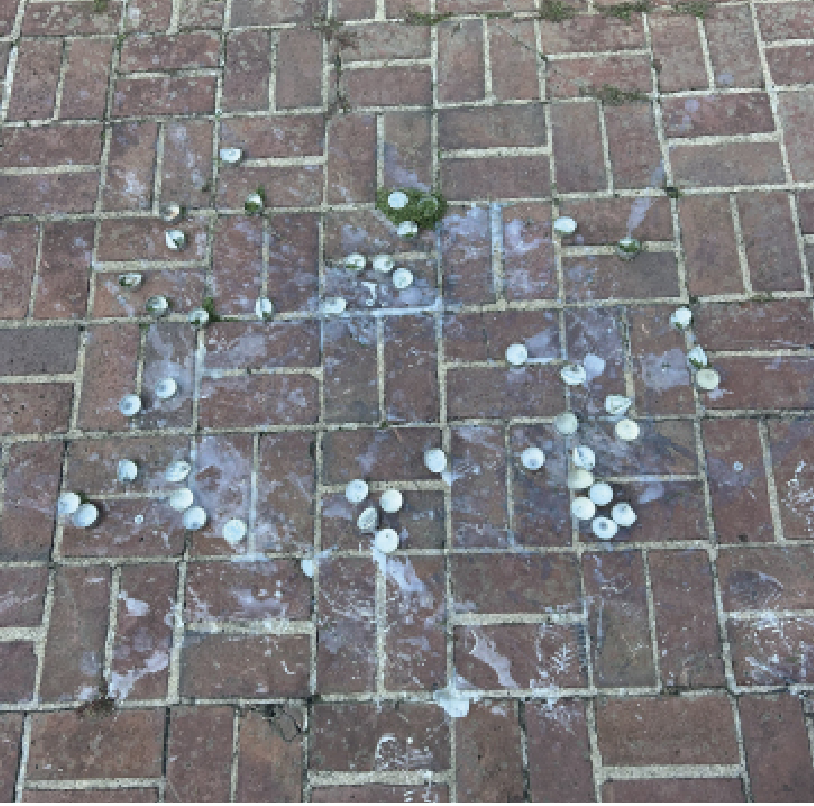 The day after the vigil, the candles serve as a reminder of lives lost one year ago. Photo by Isabelle Polgar ‘25.