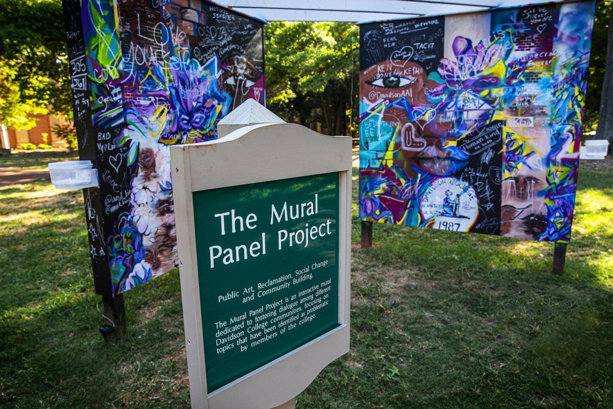 Makayla Binter’s (‘20) Mural Panel Project was funded by DACE Spike! and Projects for Peace grants. Photo by Chris Record.