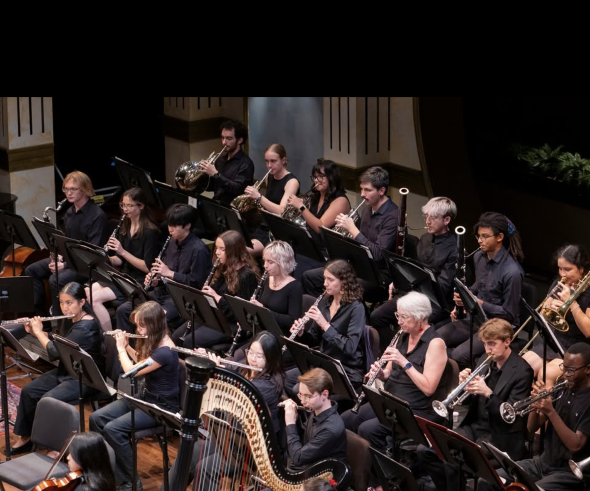 Davidson's Symphony Orchestra performs at a concert. Courtesy of @davidsoncollegemusic on Instagram.